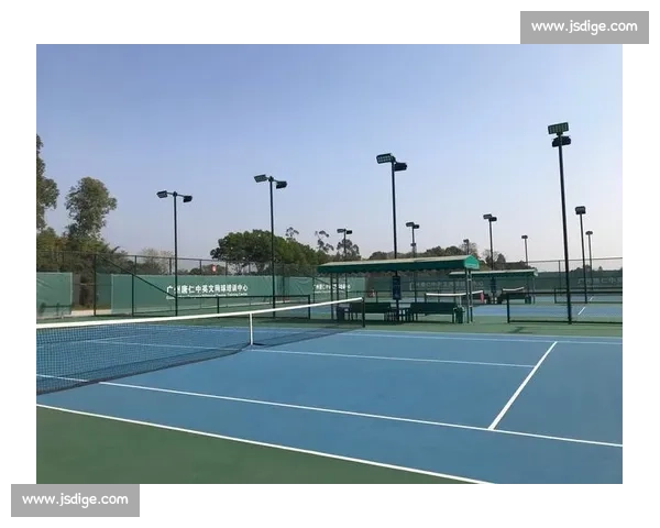 文化符号！网球运动的魅力何在，为何能风靡全球